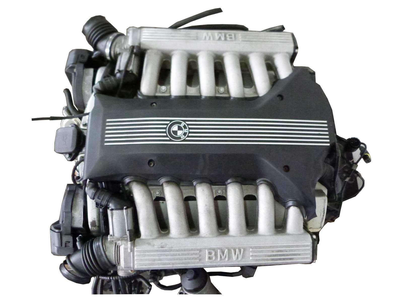 Двигатель бмв 750. Мотор м73 BMW 5.4. М73 мотор БМВ. M73 BMW двигатель. Мотор БМВ 5.4 v12.